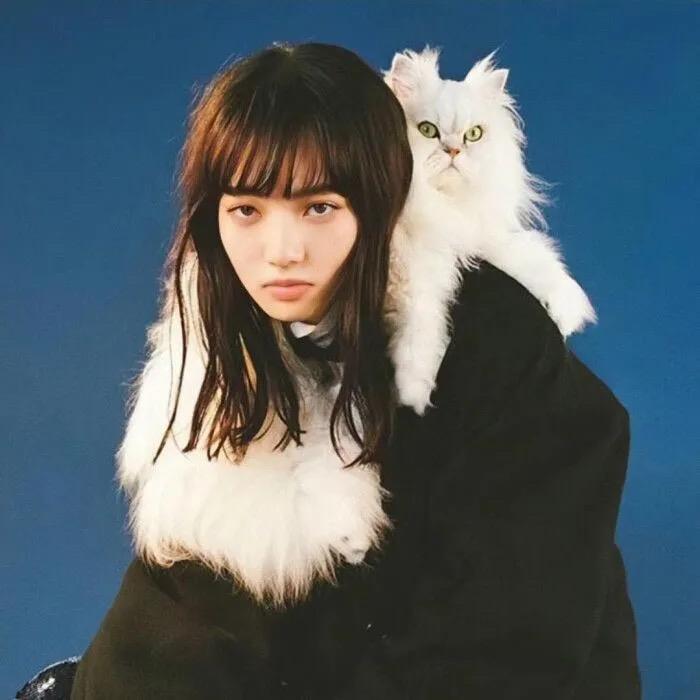 爱偷懒的猫