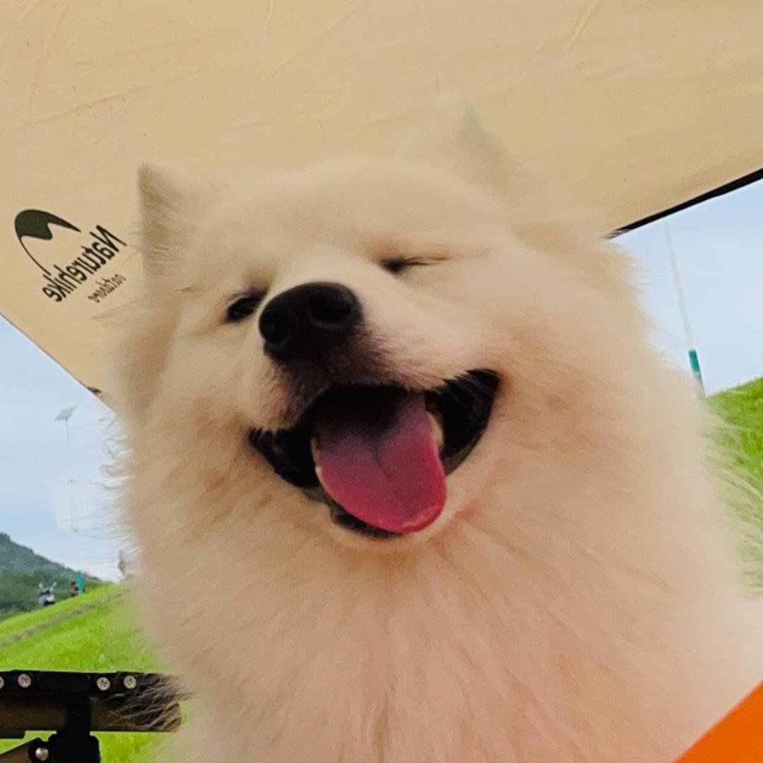 萨摩坨