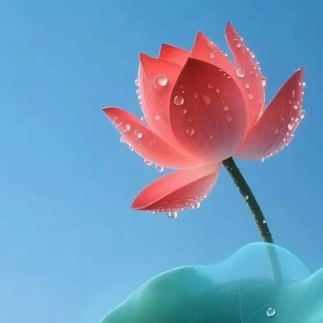 小智