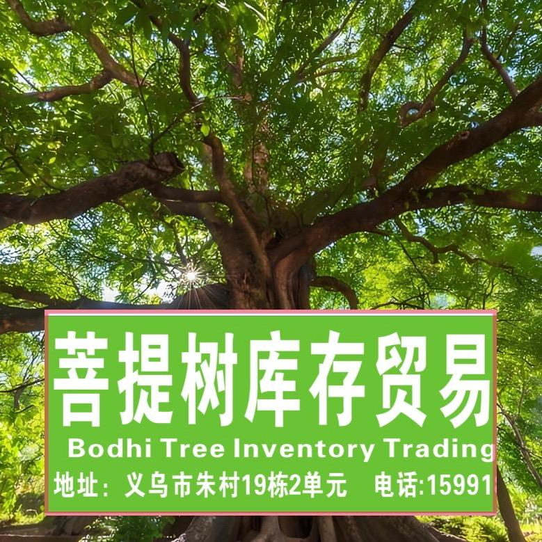 菩提树库存国际贸易中心