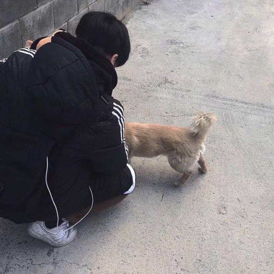 刘文强___
