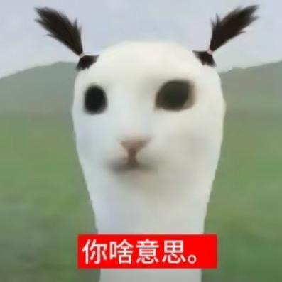 美少男菊花杀手