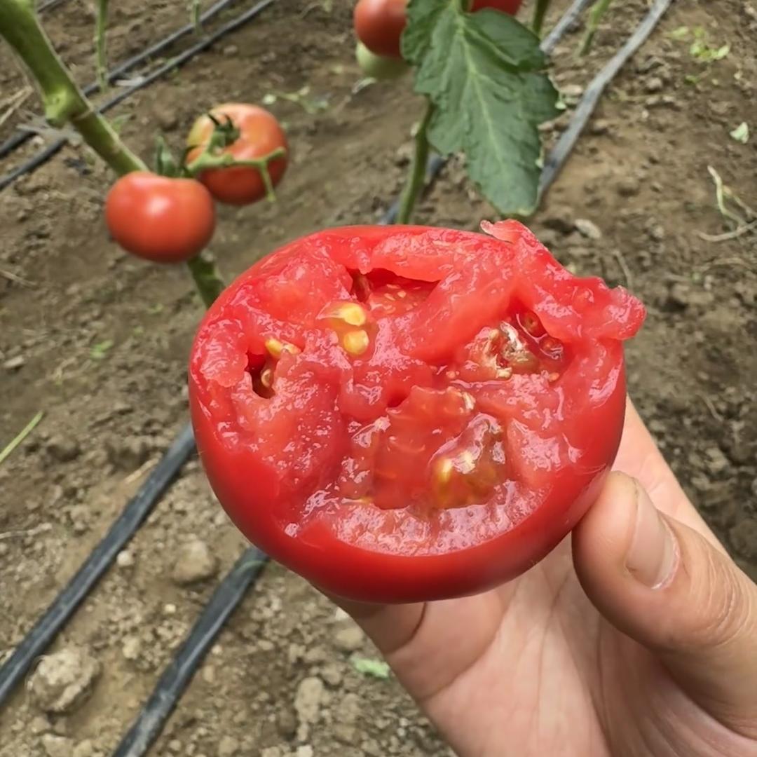 快食尚鲜仓