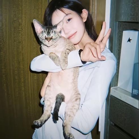 沁秋