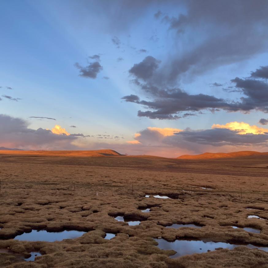骑摩托的独角兽