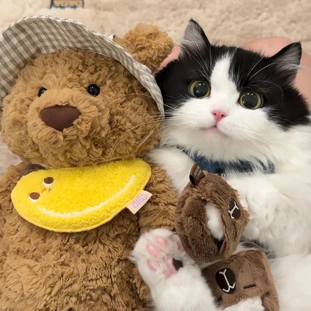 把自己养成小胖