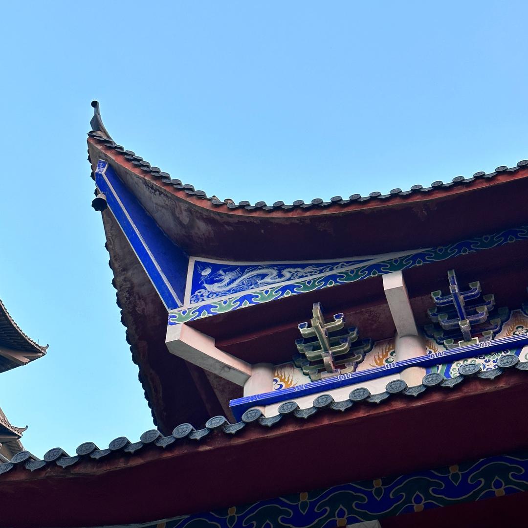 大专唐校（升学规划）