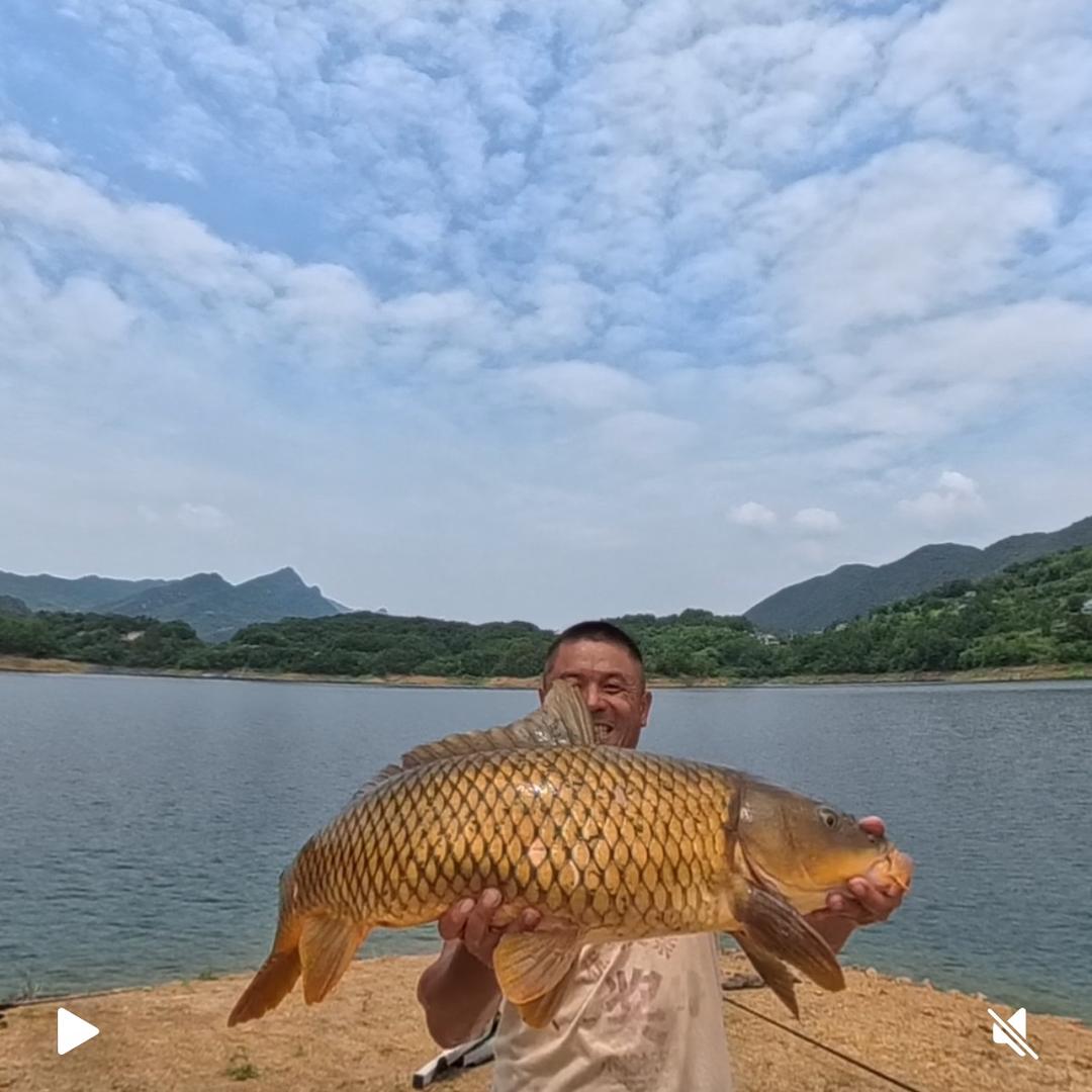 商哥