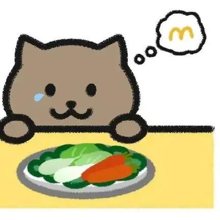 冬瓜的东