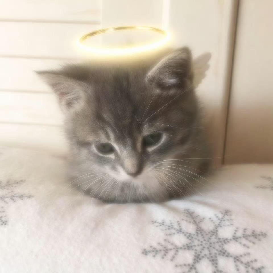 fufu