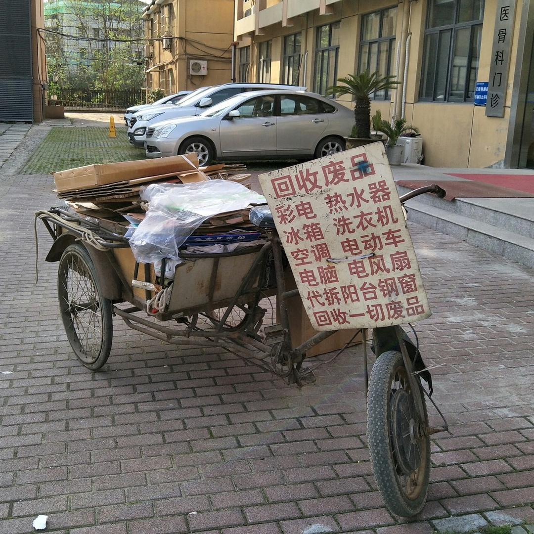 打不死的小强