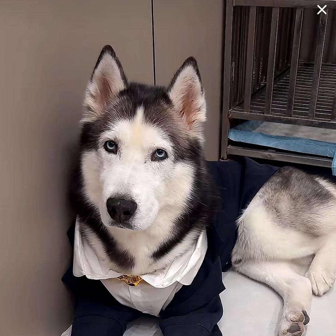 邹小柏🤪