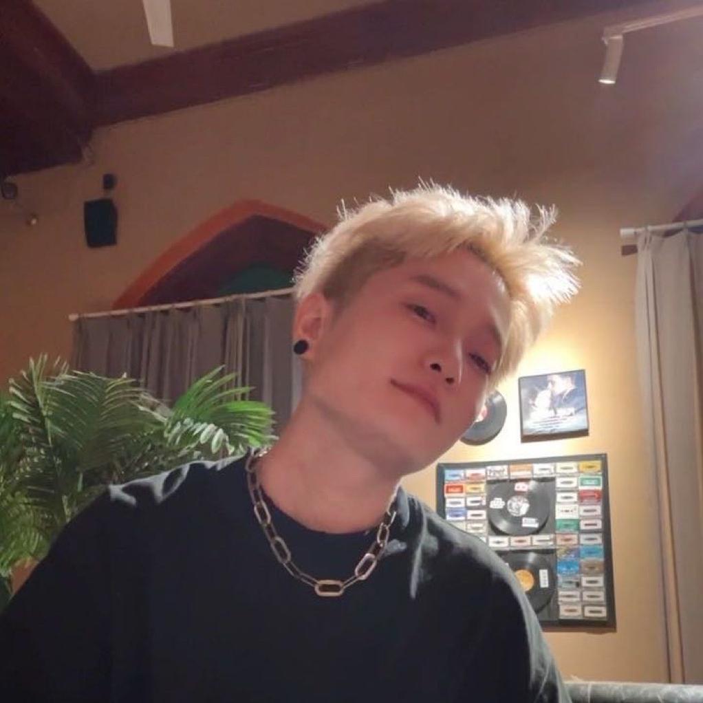 喀什市-罗老板羊毛卷