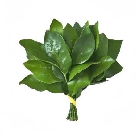 茅台灿灿🌶️