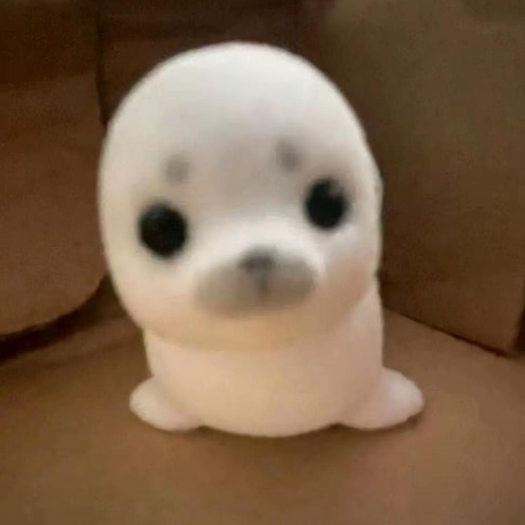 临行言