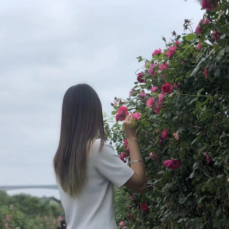 宋何包蛋