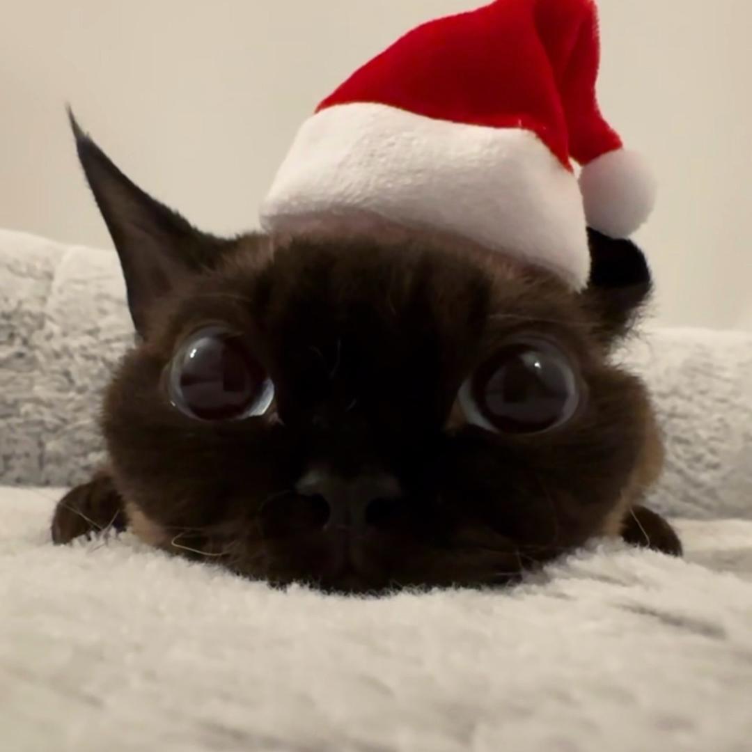 ᅟᅟᅟᅟᅟᅟᅟᅟᅟᅟᅟ