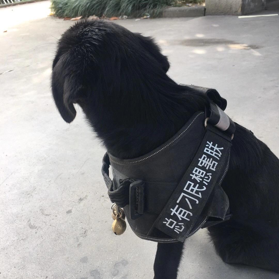 ckt