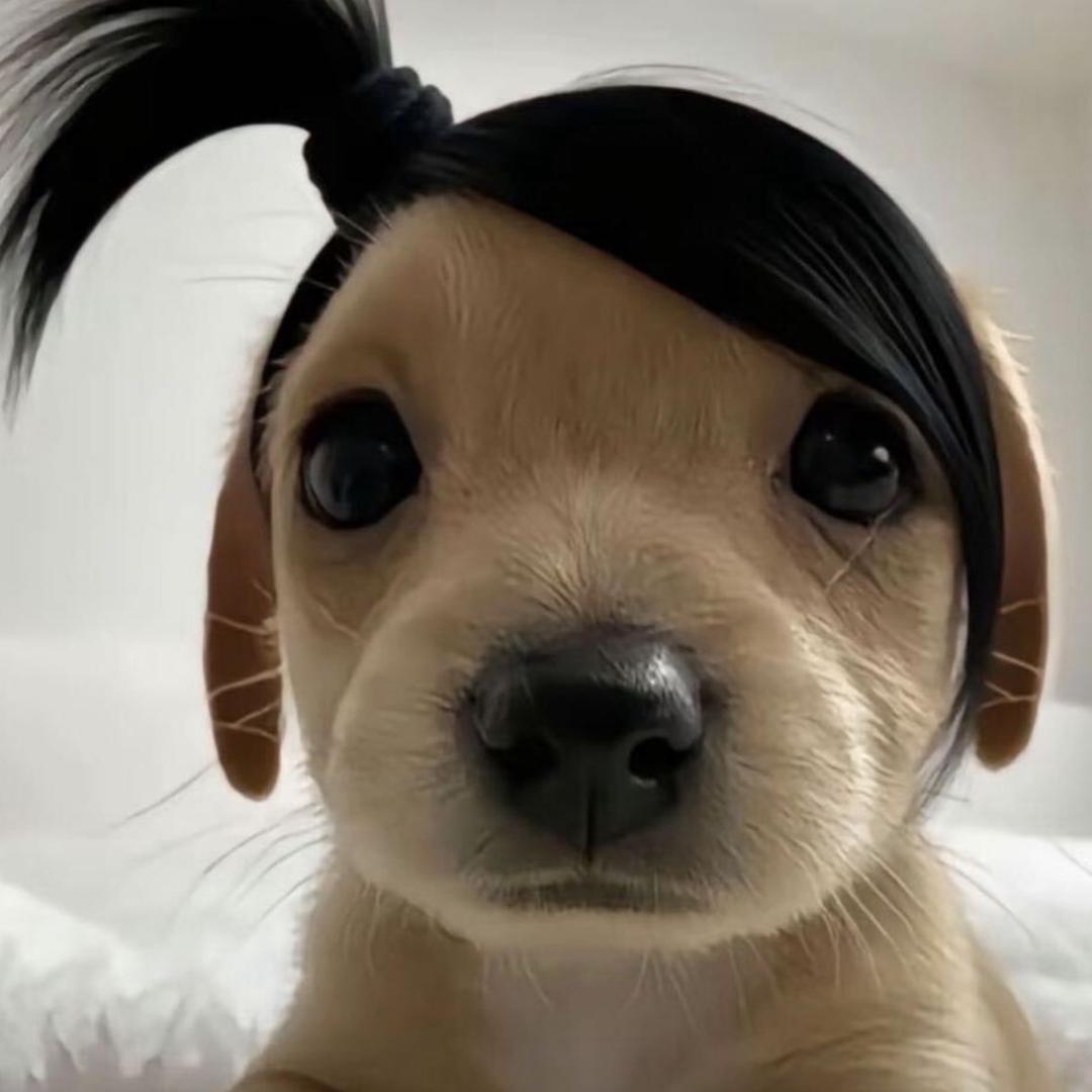 漂泊👠👠💐四海👫🐕🐕928