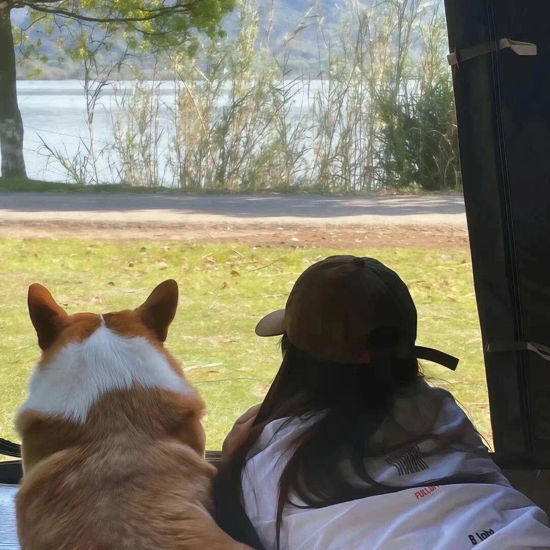 𝘼𝙪𝙧𝙤𝙧𝙖.