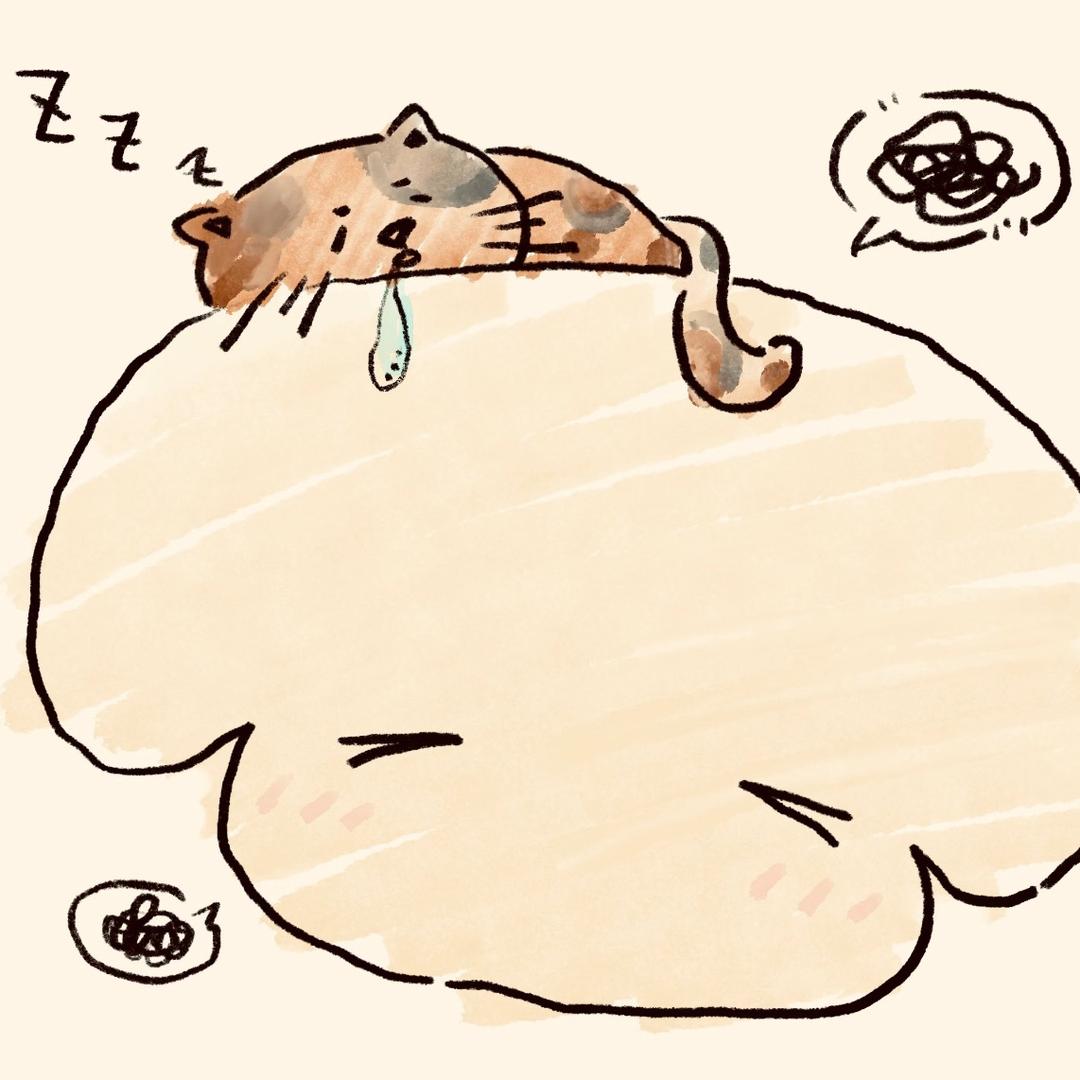 烊烊🐾