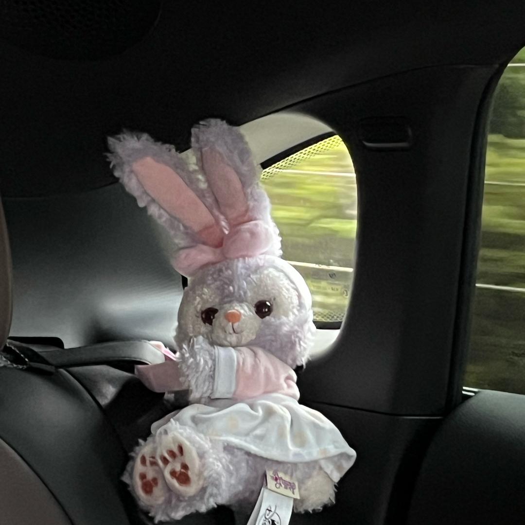 🫶🏻🫶🏻🫶🏻