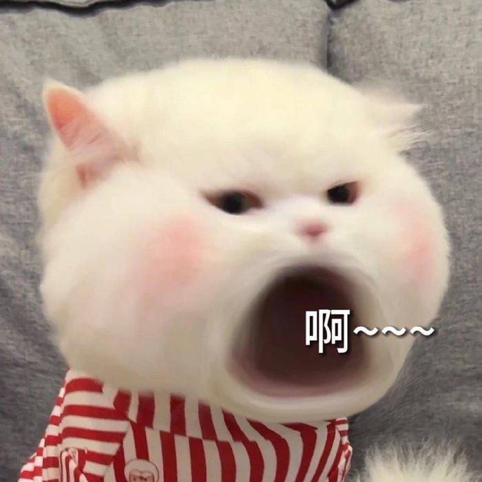 用户名52797861头像