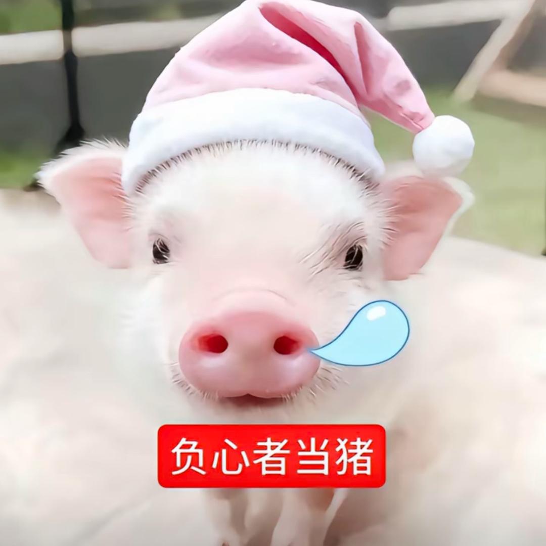循愈