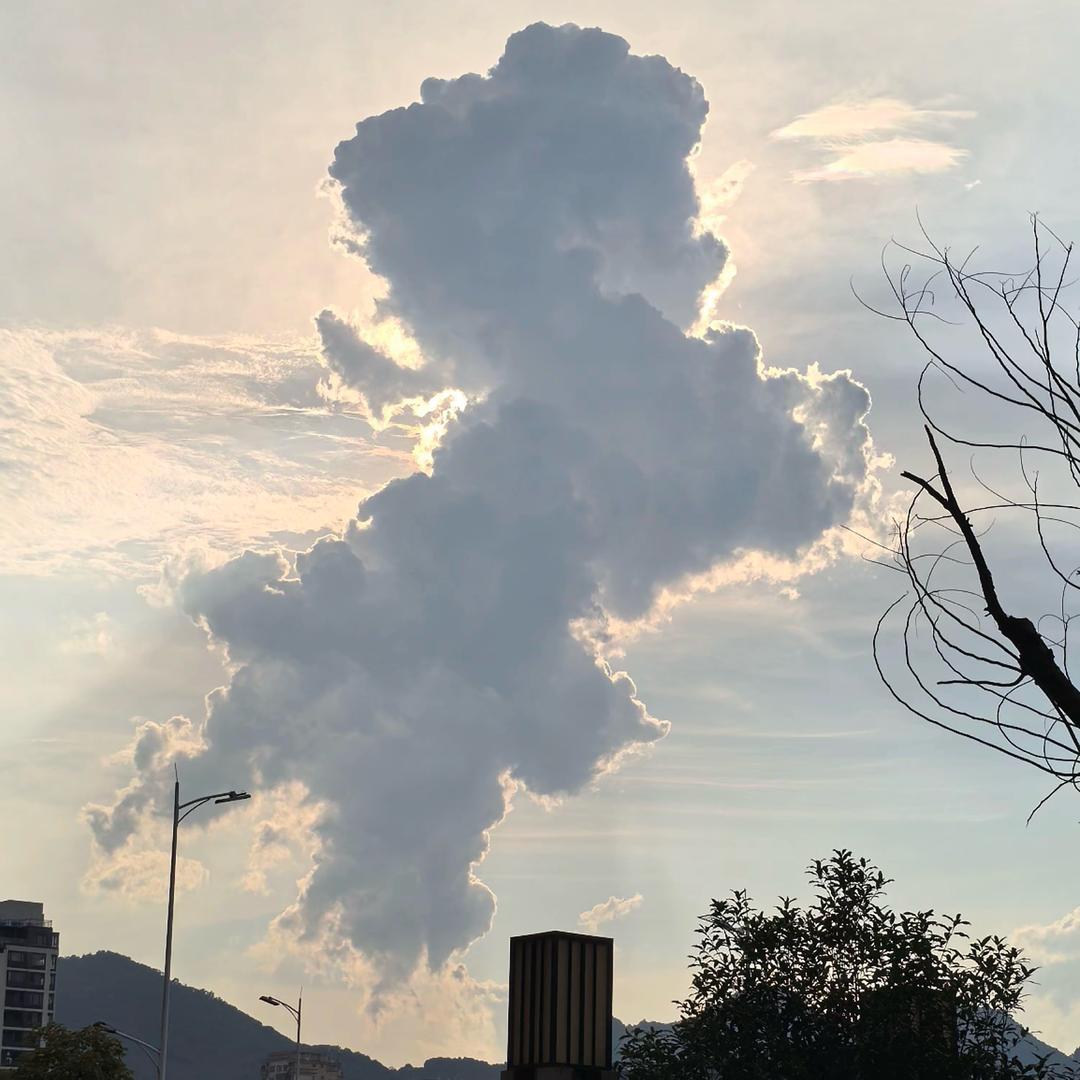 芊霖