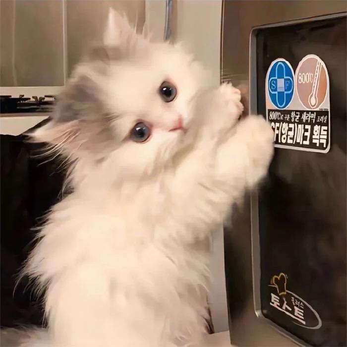 佳佳~