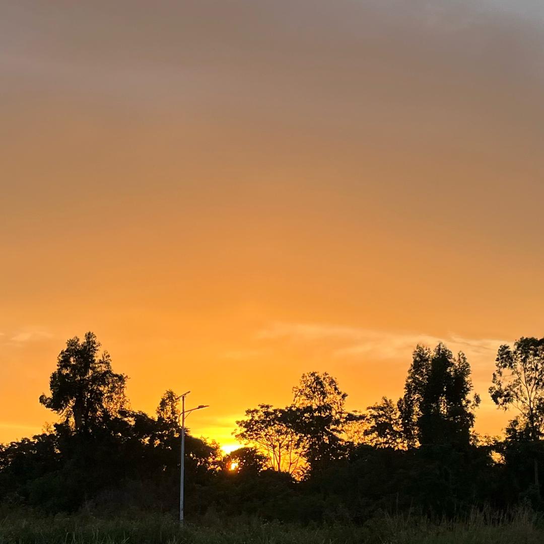 一口一个小盆友