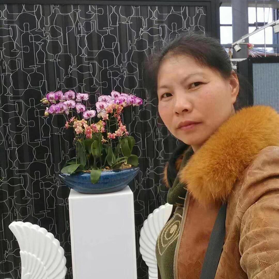 卖房子的苹果.牟