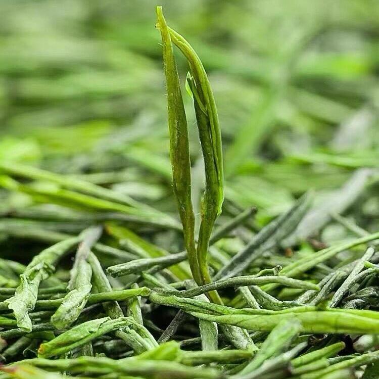 安吉晶品茶场