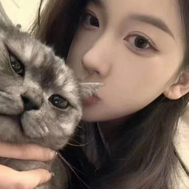 冬嵇炀.