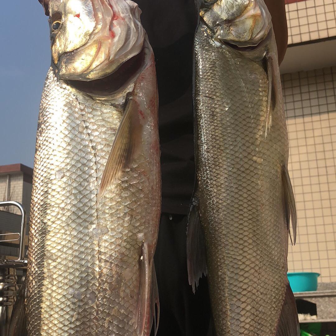 黑太阳