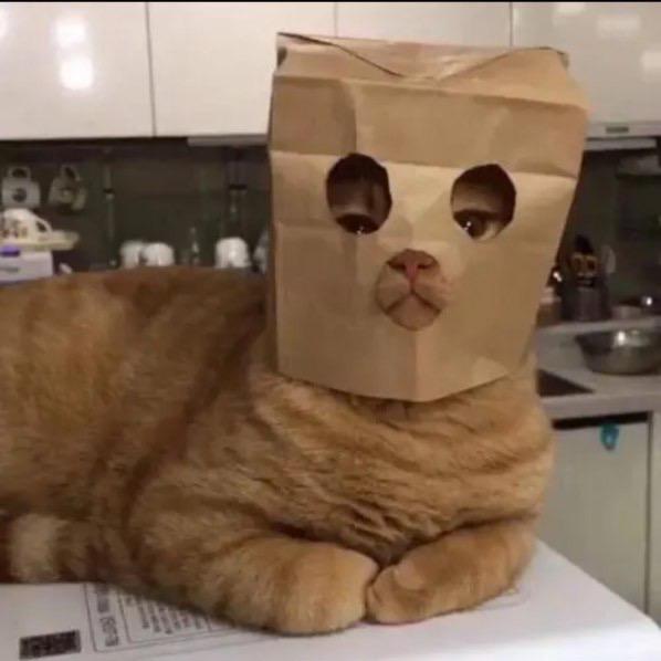 在路上·
