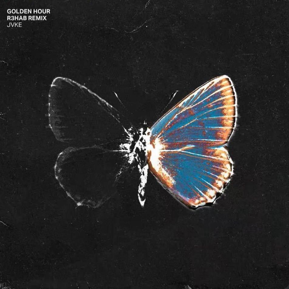 零屹🦋.