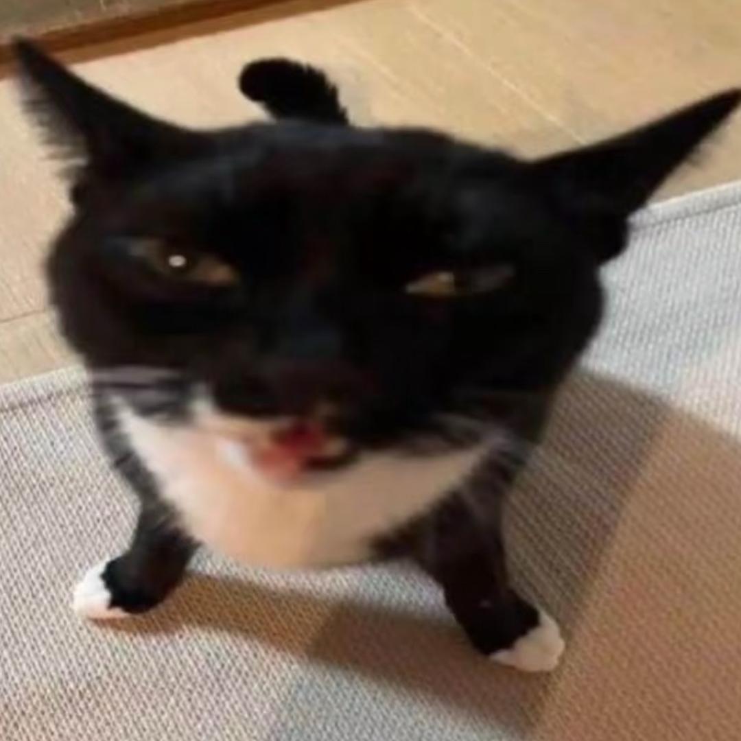 Asa