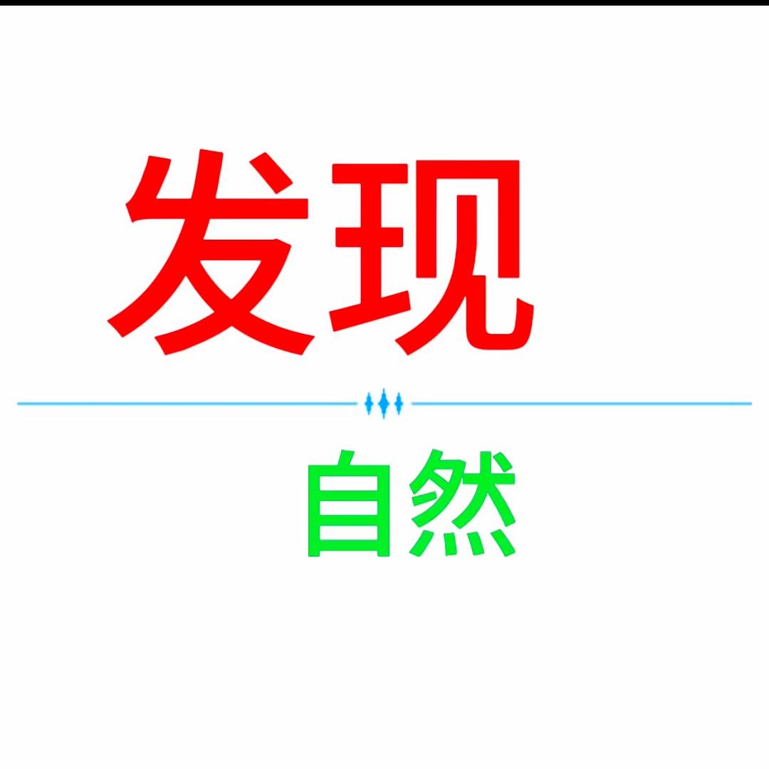 发现自然