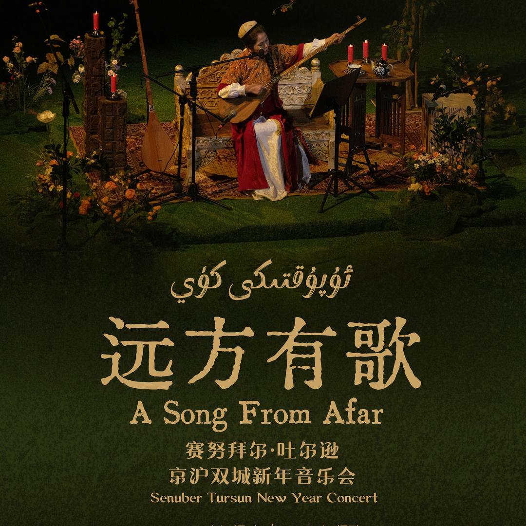 赛努拜尔·吐尔逊音乐会