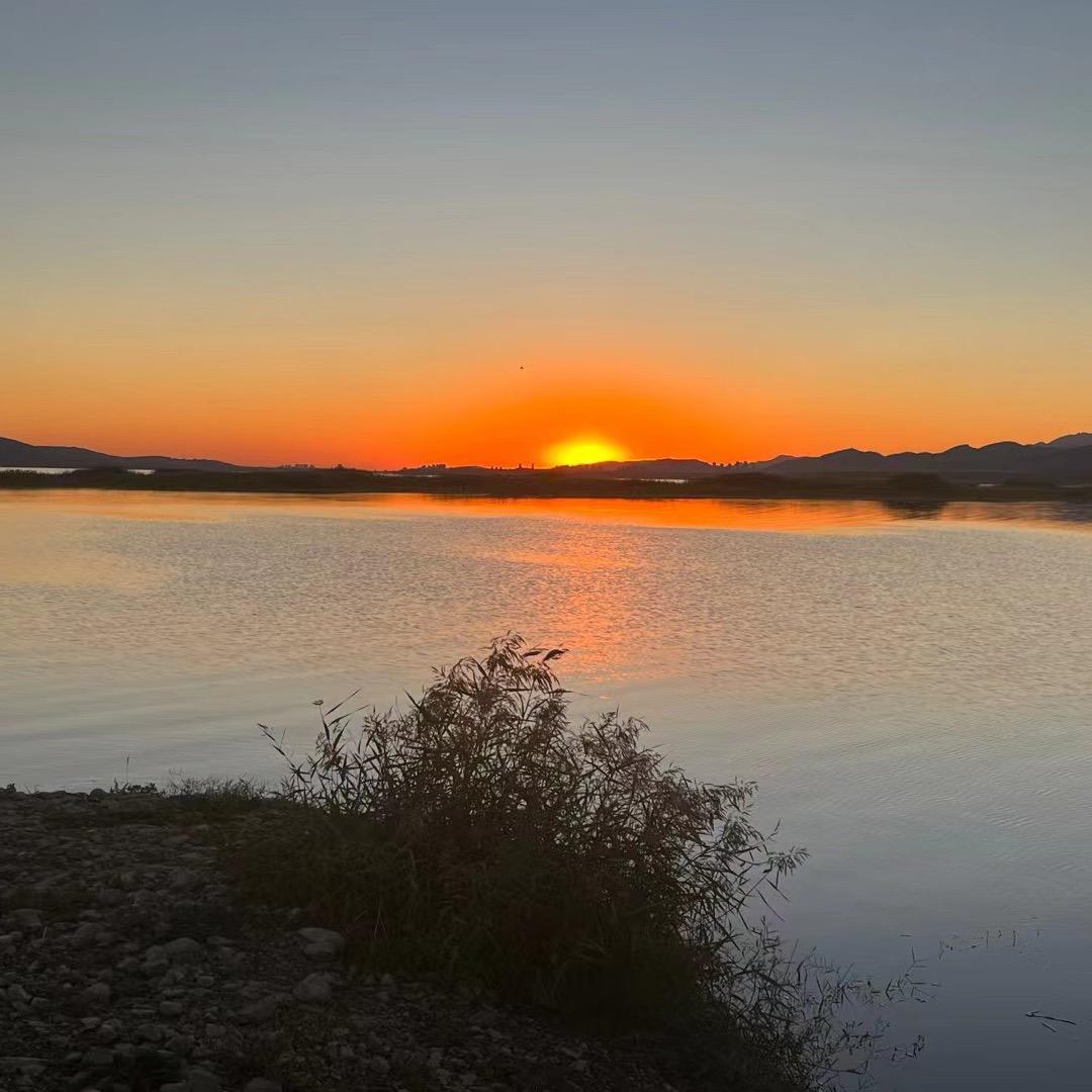 海波于桥水库野生鱼