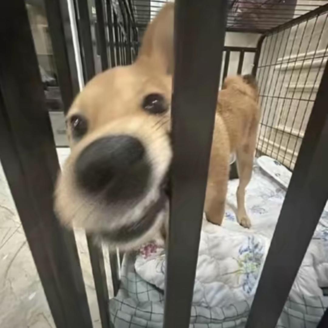 新航线
