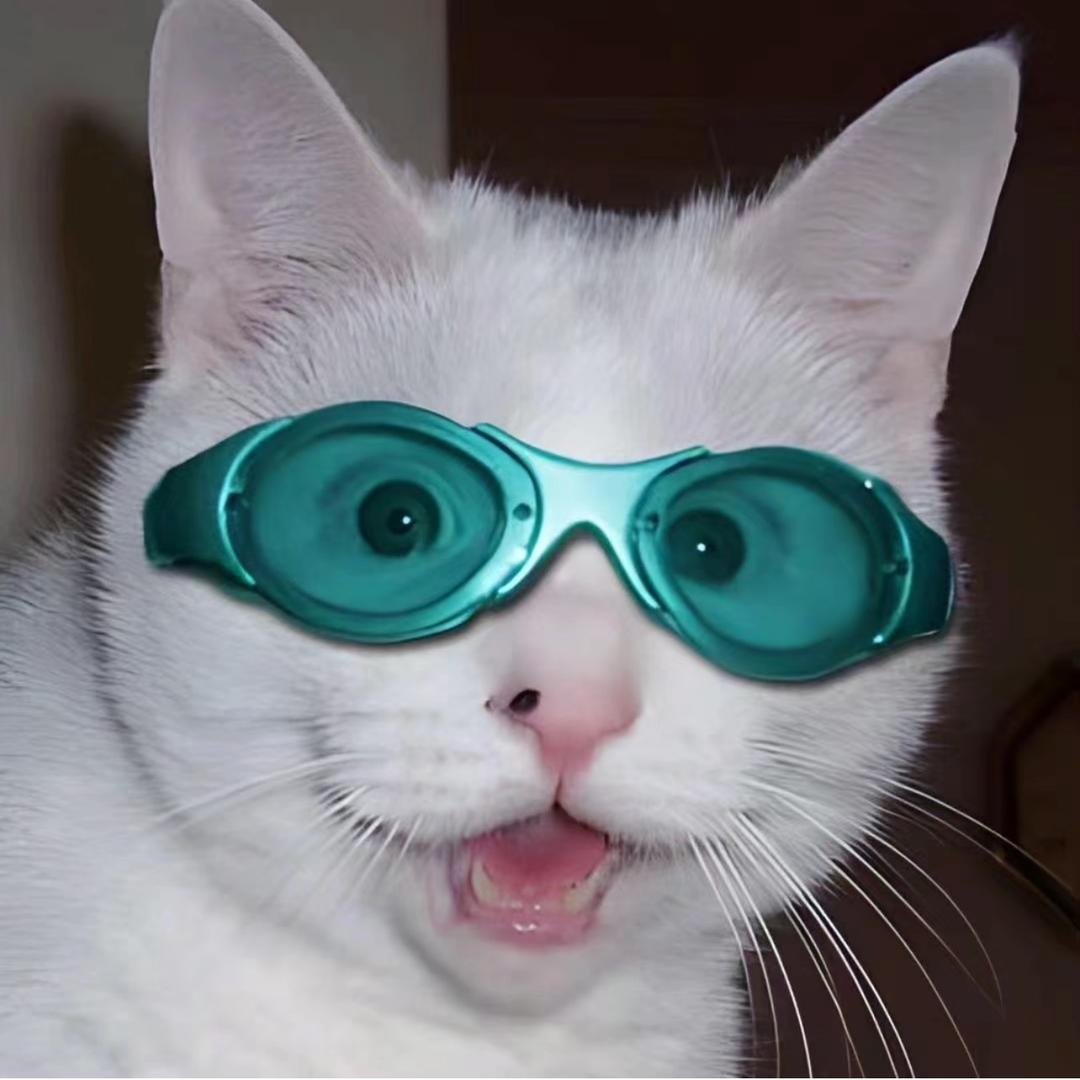 杨67