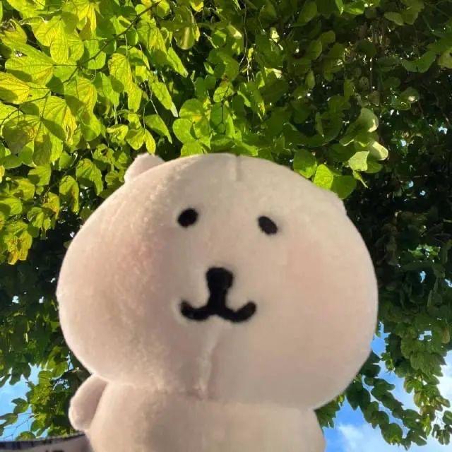 想要淋雨