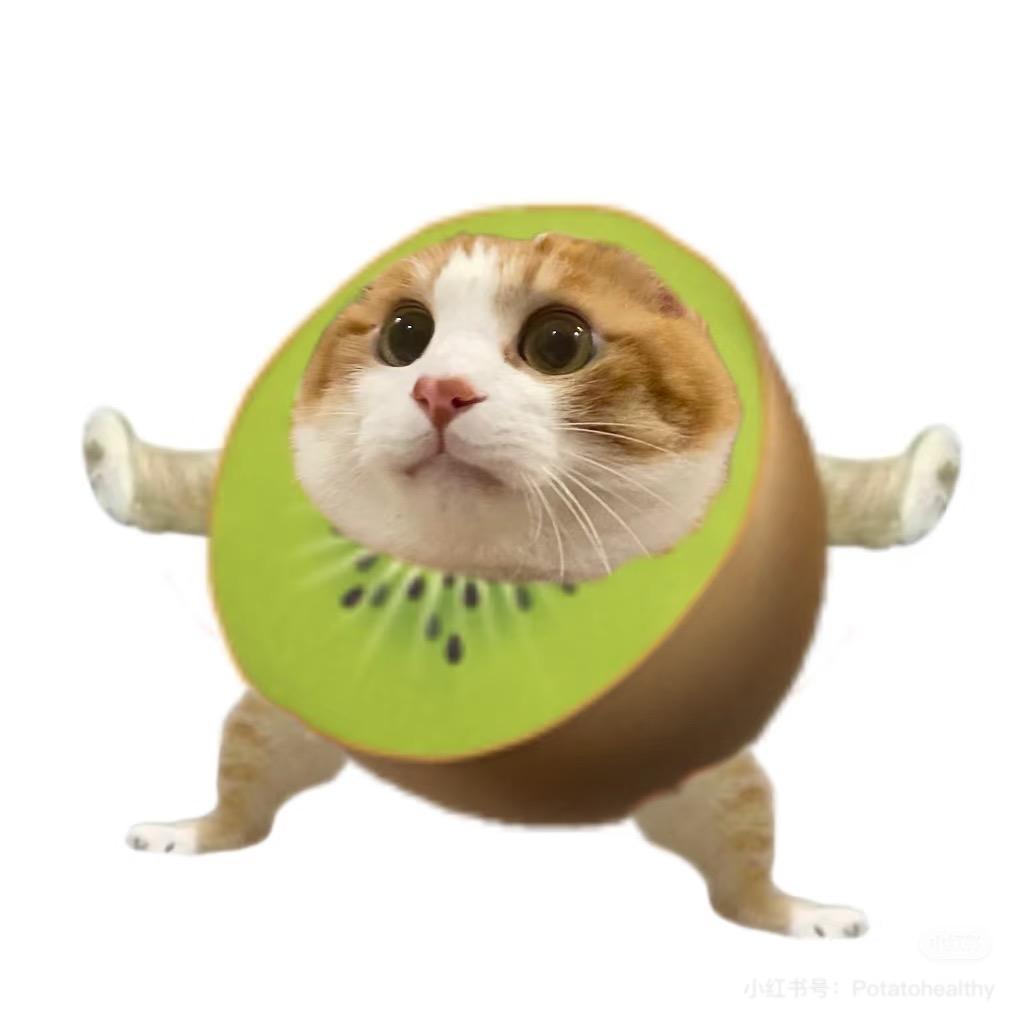 果宝
