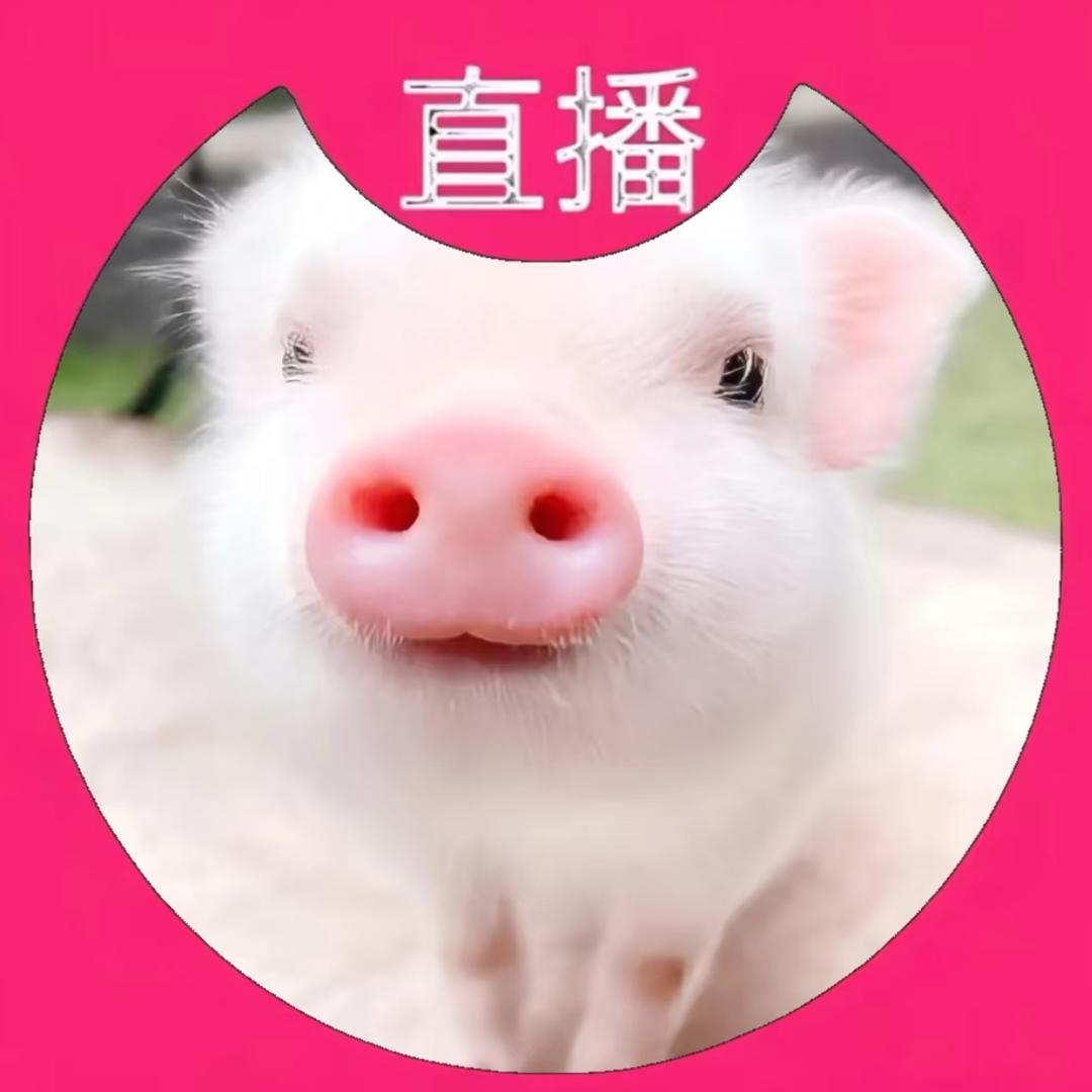 치치