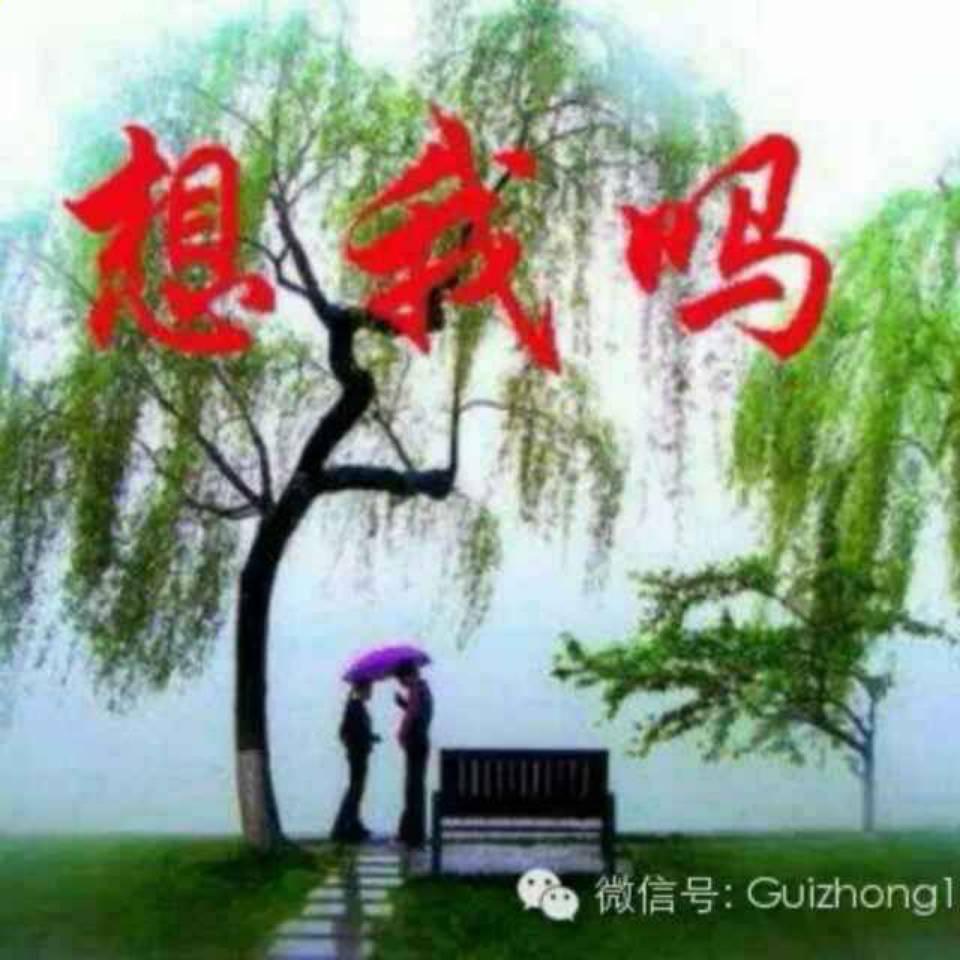 姐姐127