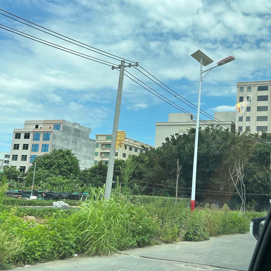 陈烽，
