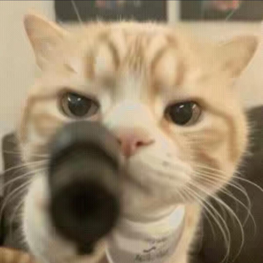 哈哈哈哈哈