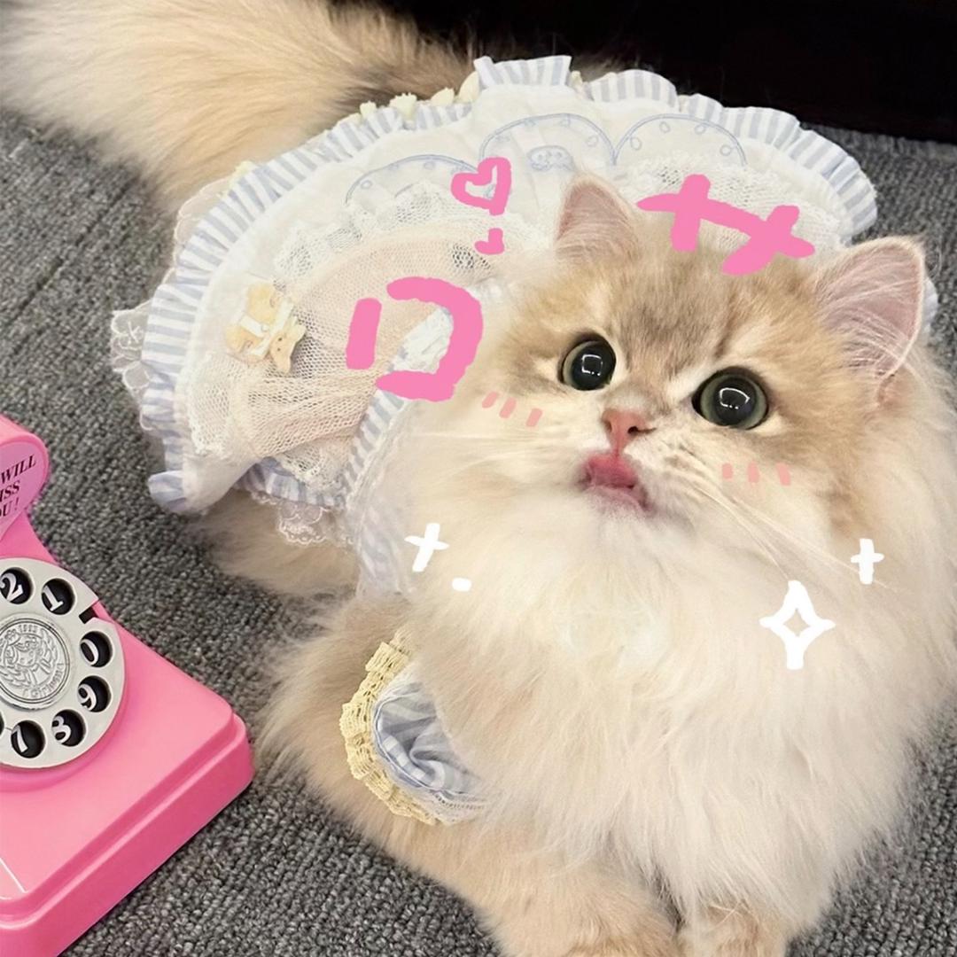 酱酱